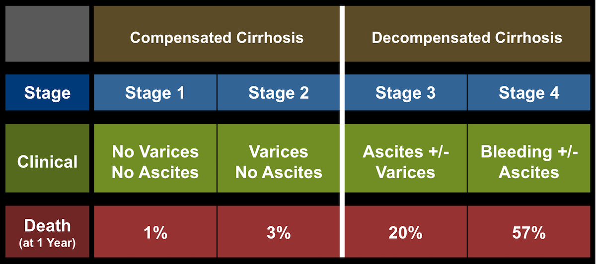 Core Concepts Evaluation and Prognosis of Patients with
